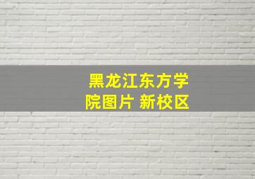 黑龙江东方学院图片 新校区